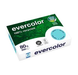 Papier A4 couleur 80 g Clairefontaine Evercolor - Ramettes de 500 feuilles