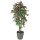 Artificial plant Capensia for inside + pot