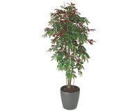 Kunstplant Capensia voor binnen + pot