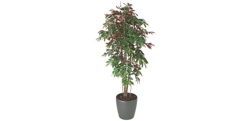 Plante artificielle d'intérieur Capensia + pot