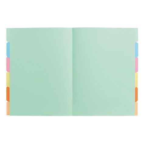 Carpeta con separadores lengüeta Exacompta 24 x 32 cm Colores Surtidos - Paquete de 60