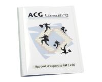 Personalizable document holder Viquel opaque polypropylene A4 50 colored sleeves