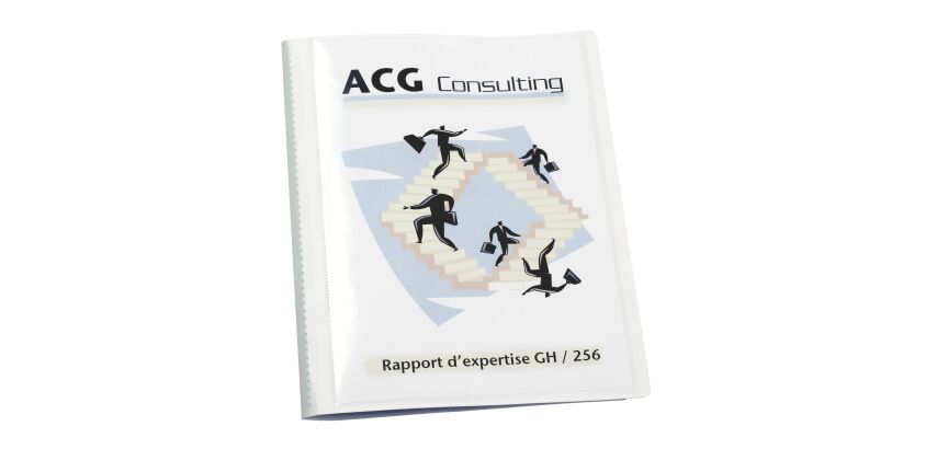 Personalizable document holder Viquel opaque polypropylene A4 50 colored sleeves