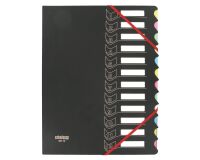 Sorter Extendos bi-material 12 divisions colour