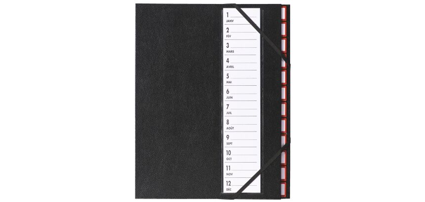 Sorting folder luxury metal Extendos 12 divisions 