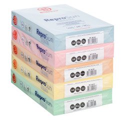Gekleurd papier A4 80 g Bruneau Reprosun pastelkleuren - Doos met 5 pakken van 500 vellen