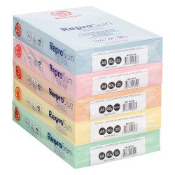 Papier couleur A4 80 g Bruneau Reprosun couleurs pastel - Carton de 5 ramettes de 500 feuilles