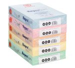 Papier couleur A4 80 g Bruneau Reprosun couleurs pastel - Carton de 5 ramettes de 500 feuilles