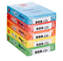 Papier A4 couleur 80 g Bruneau Reprosun couleurs vives. Carton de 5 ramettes de 500 feuilles