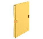 Classic expandable folders without flap, colour
