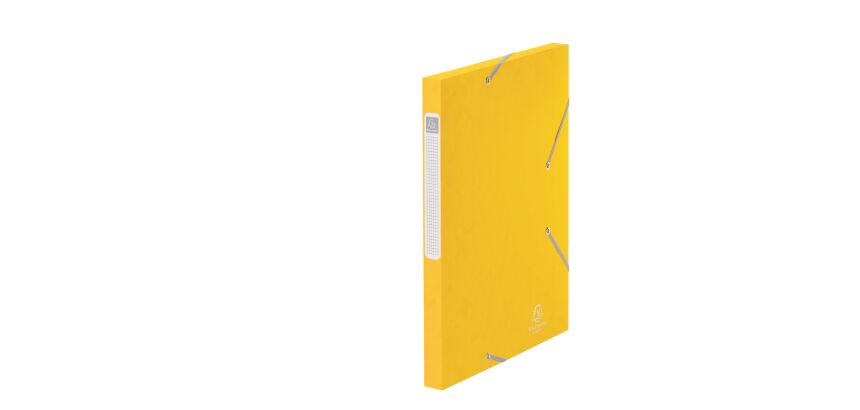 Chemise box Exacompta Cartobox 24 x 32 cm dos 2,5 cm