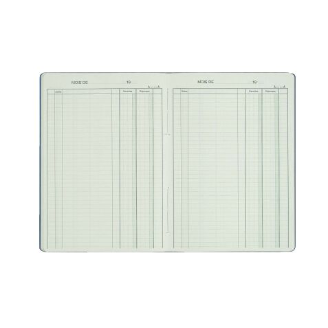 Registre piqûre recettes - dépenses 2 colonnes Le Dauphin 3931 - 21 x 29,7 cm 80 pages