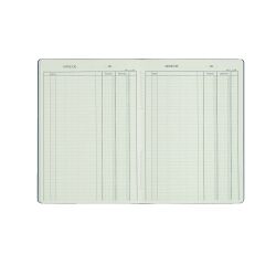 Registre piqûre recettes - dépenses Le Dauphin 3921