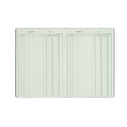 Registre piqûre recettes - dépenses 2 colonnes Le Dauphin 3931 - 21 x 29,7 cm 80 pages