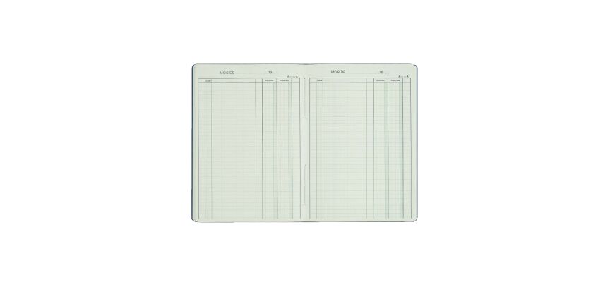 Registre piqûre recettes - dépenses 2 colonnes Le Dauphin 3931 - 21 x 29,7 cm 80 pages