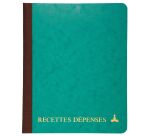 Registre piqûre recettes - dépenses Le Dauphin 3921
