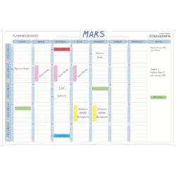 Exacompta, magnetic monthly planning