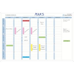 Planning magnétique mensuel 8 colonnes Exacompta
