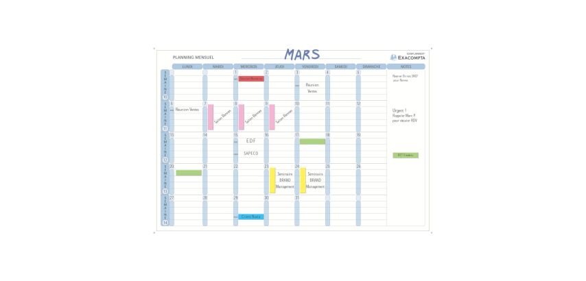 Magnetische maandelijkse planning Exacompta