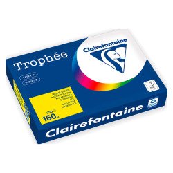 Ream of 250 sheets colored paper A4 160 g Clairefontaine Trophée vivid colors