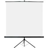 Pantalla de proyección de suelo con trípode Oray 180 x 180 cm