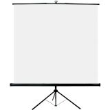 Pantalla de proyección de suelo con trípode Oray 200 x 200 cm