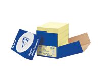 Paper color A4 80 g Clairefontaine Trophée pastel colors - box of 2500 sheets 