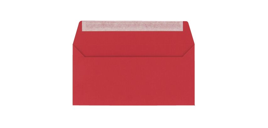 Enveloppe Pollen Clairefontaine groseille 110 x 220 - Boîte de 200