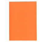 Pack of 250 recycled folders