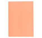 Sous-chemise classique 60 g Exacompta 22 x 31 cm couleur - Paquet de 250