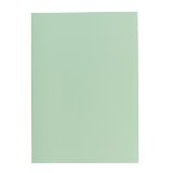 Subsleeve 60 g Exacompta 22 x 31 cm green - Pack of 250