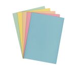 Sous-chemises recyclées couleurs pastels 22 x 31 cm - Paquet de 250 - Exacompta