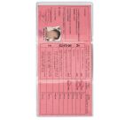 Étui de protection permis de conduire Oxford - 3 volets