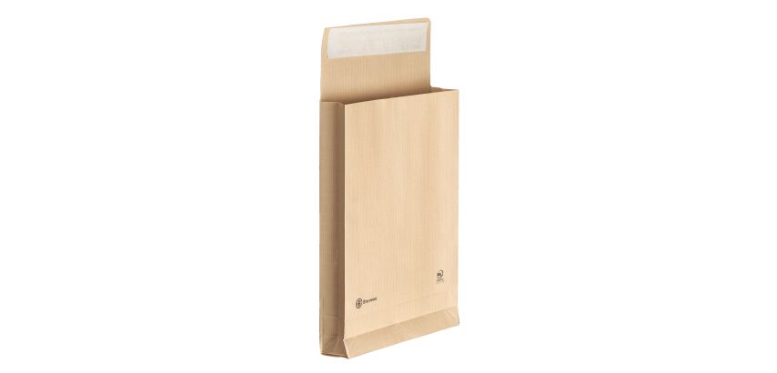 Pack von 50 Versandtaschen ohne Sichtfenster 229 x 324 mm Balg 5 cm