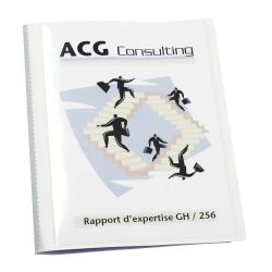 Customizable document protector, extra thin, 40 pockets