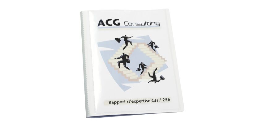 Protège-documents personnalisables Viquel Essentiel Recyclé polypropylène translucide A4 20 pochettes - 40 vues - couleur