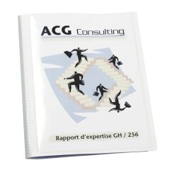 Protège-documents personnalisables Viquel Essentiel Recyclé polypropylène translucide A4 - 10 pochettes - 20 vues