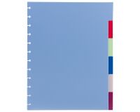 Set 6 gekleurde neutrale tabbladen A4 Viquel plastic