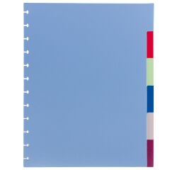 Set 6 gekleurde neutrale tabbladen A4 Viquel plastic
