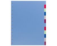 Set 12 gekleurde neutrale tabbladen A4 Viquel plastic