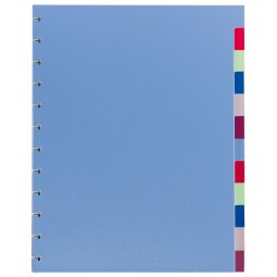 Set 12 gekleurde neutrale tabbladen A4 Viquel plastic