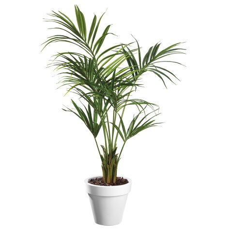 Artificial plant for indoor Kentia + pot