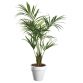 Artificial plant for indoor Kentia + pot