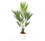 Plante artificielle d'intérieur Kentia + pot