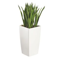 Kunstmatige plant voor binnen Sansevieria + pot