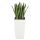 Plantes artificielles