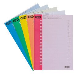 Etiquetas para carpetas colgantes en armarios Elba de 9 x 210 mm, colores surtidos (paquete de 310)