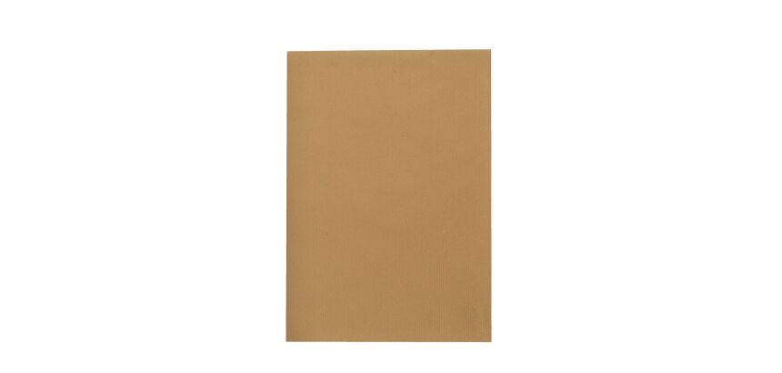 Bruneau - Recycled brown kraft envelope 229 x 324 mm 90 g no window - Box of 250
