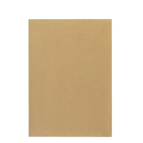 Box of 500 administrative sleeves Bruneau in brown kraft without window 162 x 229 mm with protective strip