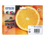 Epson 33XL Pack cartouche noire + noire photo + 3 couleurs haute capacité pour imprimante jet d'encre